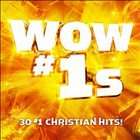   Christian Hits (CD, Mar 2011, 2 Discs, Word Distribution) (CD, 2011