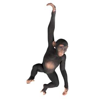 Primate Chimpanzee Hanging in the Jungle Monkey Ape Sculpture  