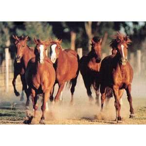  WILD HORSES RUNNING NATURE 24X36 POSTER #AA782