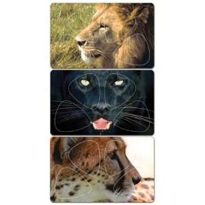 PikCARD MP11 3P Cheetah / Panther / Lion Pick Card Pack 