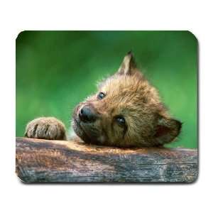  wolf puppy Mouse Pad Mousepad Office: Office Products