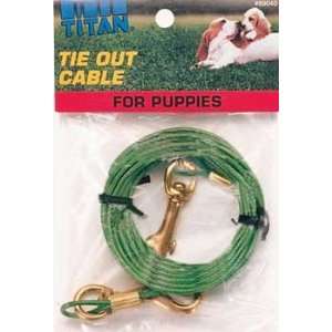  New Hight Quality C Cable Tieout Puppy 12ft Sports 