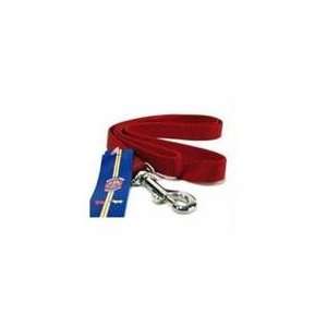  Single Thick Nylon Dog Lead Red 4 Ft: Pet Supplies