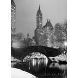 New York   Central Park   Poster schwarz weiss Foto Manhattan New York 