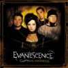 Bring Me to Life Evanescence  Musik