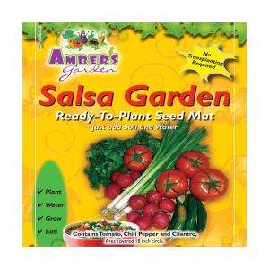 Ambers Garden, Inc. Salsa Garden,easy vegetable seed starting kit, no 