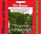 Quedlinburger Saatgut, Dürr Saatgut Artikel im PflanzenUndSamen Shop 