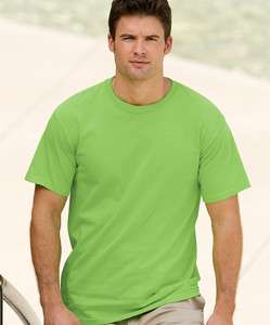 Hanes 5250 Tagless T Shirt 16 Colors BIG Sizes 3XL 6XL  