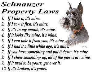   GIANT SCHNAUZER PROPERTY LAWS OF THE DOG T SHIRT = S M L XL 2XL 3XL