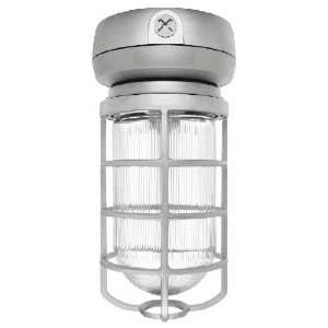   Vaporproof CFL Ceiling 32W Quad Tap with Glass Globe