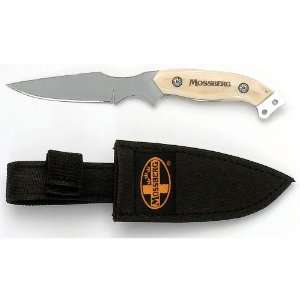   Bantam Caping Knife Bone Handl By Mossberg&trade Deluxe Caping Knife