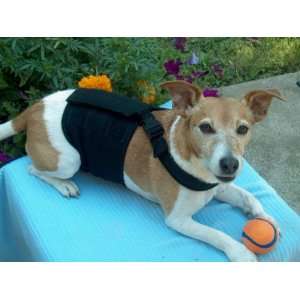 HAPPY JACK DOG DIAPER with ADJUSTABLE STRAP TO PREVENT SLIPPING   Male 