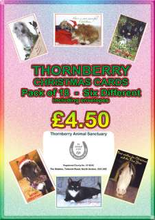 CHARITY CHRISTMAS CARDS (Thornberry Animal Sanctuary)  