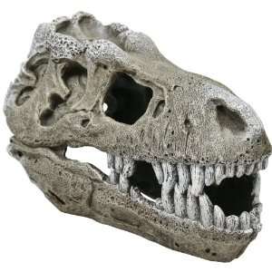  Exotic Environments T Rex Skull Aquarium Ornament, Large 