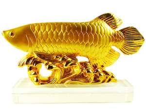 Golden Wealth Arowana Fish (Golden Fish) for Feng Shui or Gifts 