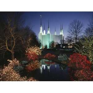 Colored Lights Decorate Bushes on the Mormon Temple Grounds Premium 