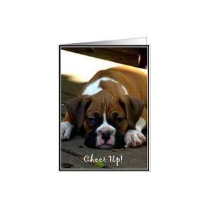 Cheer up Boxer puppy Card