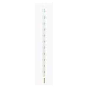  Glass Thermometer, 12 Long Thin Stem