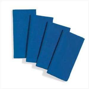 Blue Cotton Napkins Set   Set of 4 