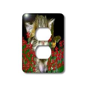   Kitten Domestic Cat   Light Switch Covers   2 plug outlet cover Home