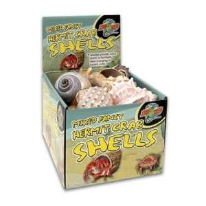  Hermit Crab Fancy Shells 24/Bx: Pet Supplies