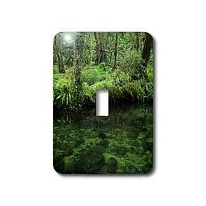 VWPics Spanish Nature   Deciduous forest and river.   Light Switch 