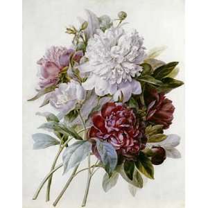 A Bouquet of Red, Pink and White Peonies by Pierre joseph 
