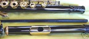   DC Pro open hole flute /hard shell case + Selmer flute care kit  