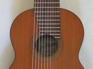   1a 10 string Classical Harp Guitar w/Case [BBand Pickup, Cedar Top