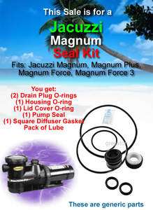 JACUZZI Magnum, Magnum Plus, and Magnum Force Pool Pump SEAL & O RING 