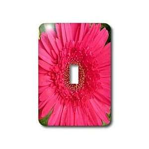 Florene Flower   Gerbera Pink   Light Switch Covers   single toggle 