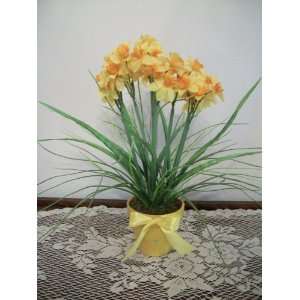  March Birth Month Flower   Yellow Daffodil: Home & Kitchen