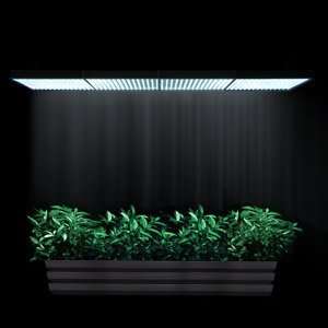   Grass Herb Flower Growing Grow LED Light Lamp Panel: Home Improvement