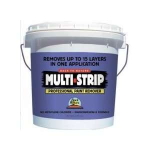  Paint and Varnish Remover, 1 Gal