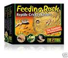 Exo Terra Cricket Feeder, Rock,Reptile Supplies